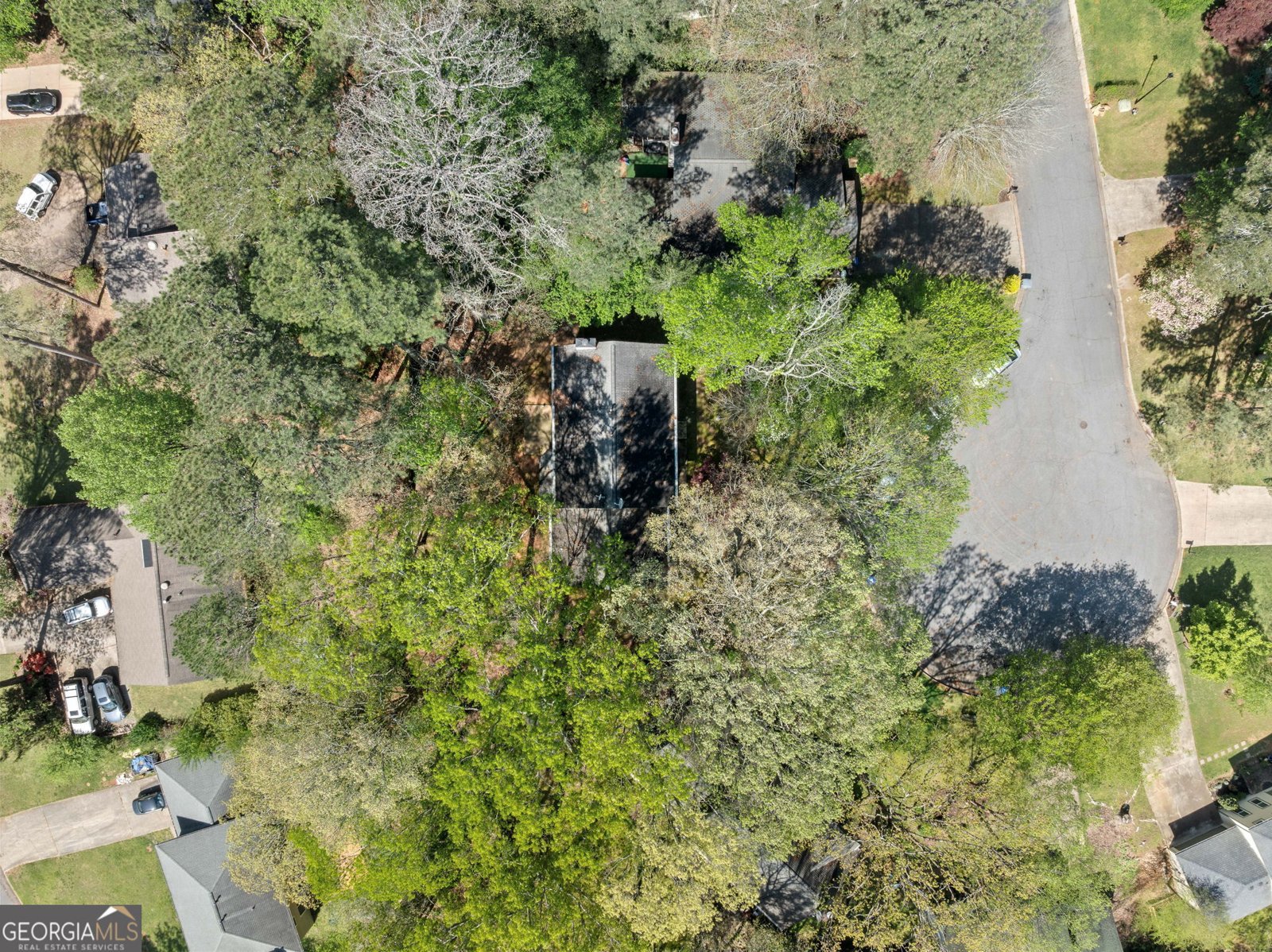 985 Lake Haven Court Roswell - 23