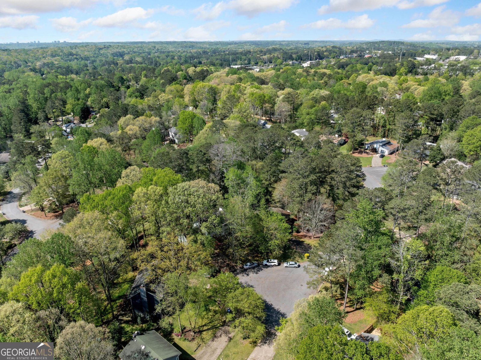 985 Lake Haven Court Roswell - 25