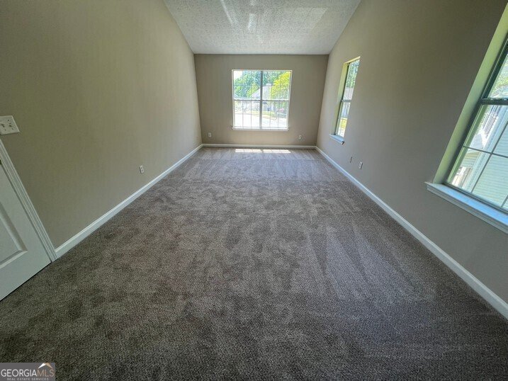 194 Bay Court Drive Stockbridge - 17