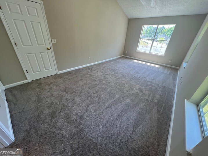 194 Bay Court Drive Stockbridge - 19