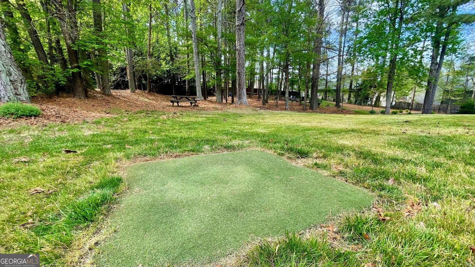 223 Cheatham Road Acworth - 5