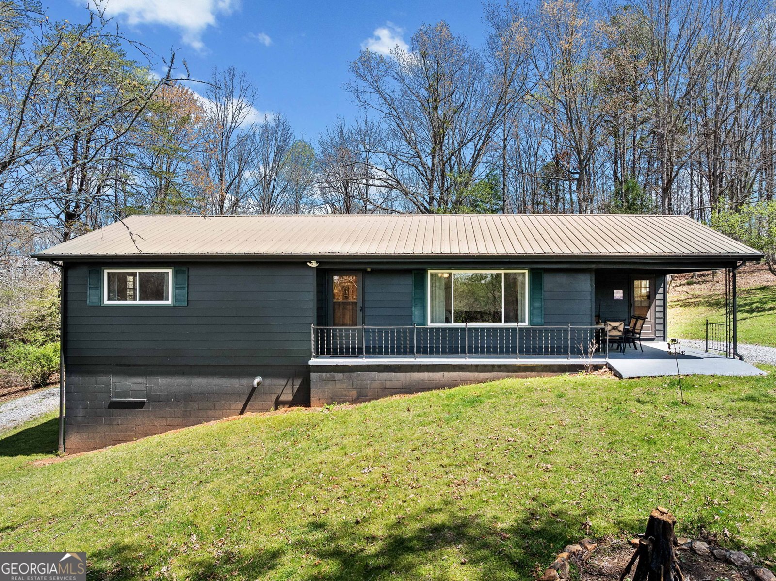 195 River Drive Mineral Bluff - 1