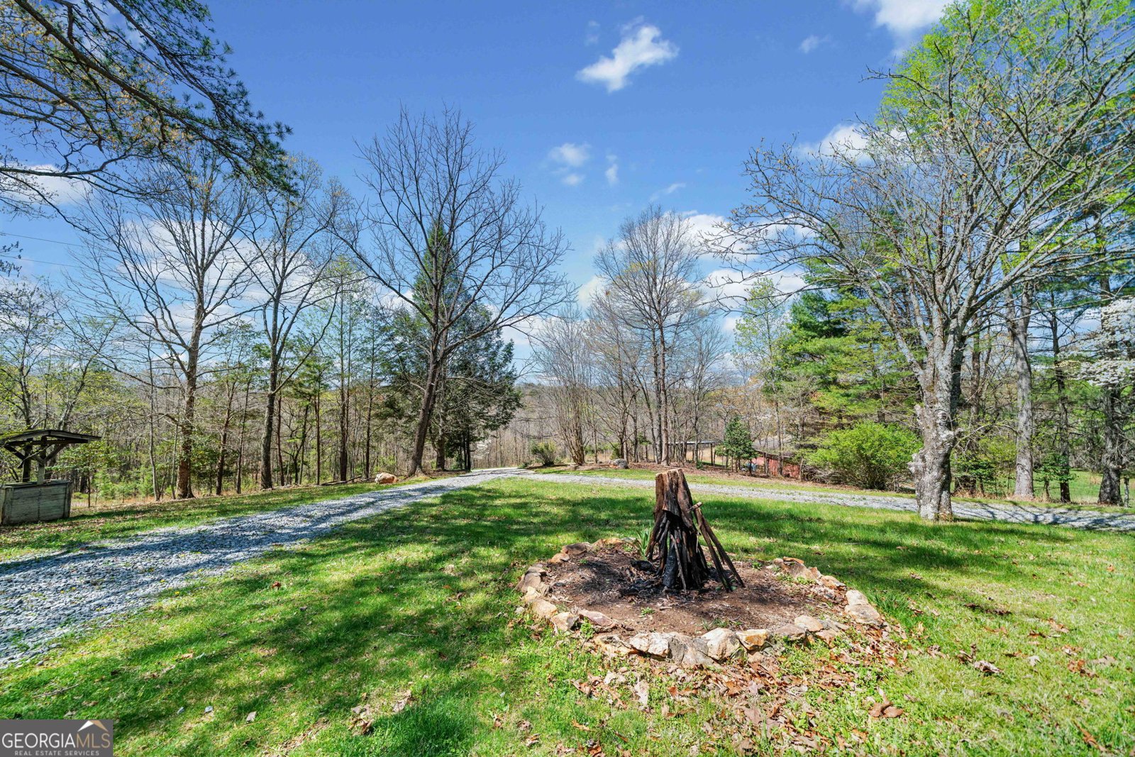 195 River Drive Mineral Bluff - 2
