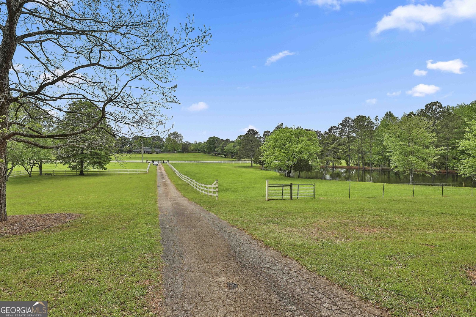 115 Ebenezer Church Road Fayetteville - 16