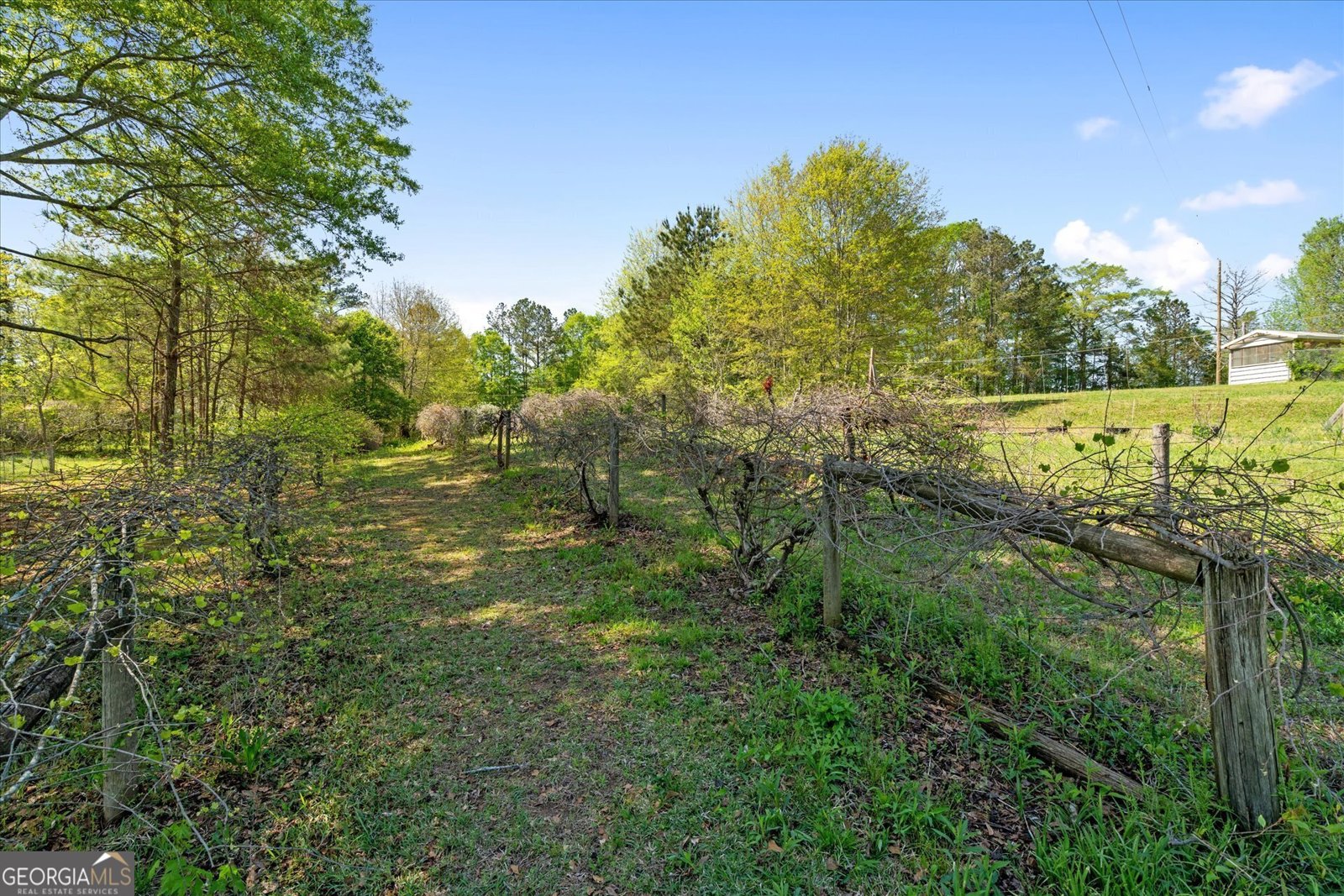 5119 Hwy 166 Carrollton - 39