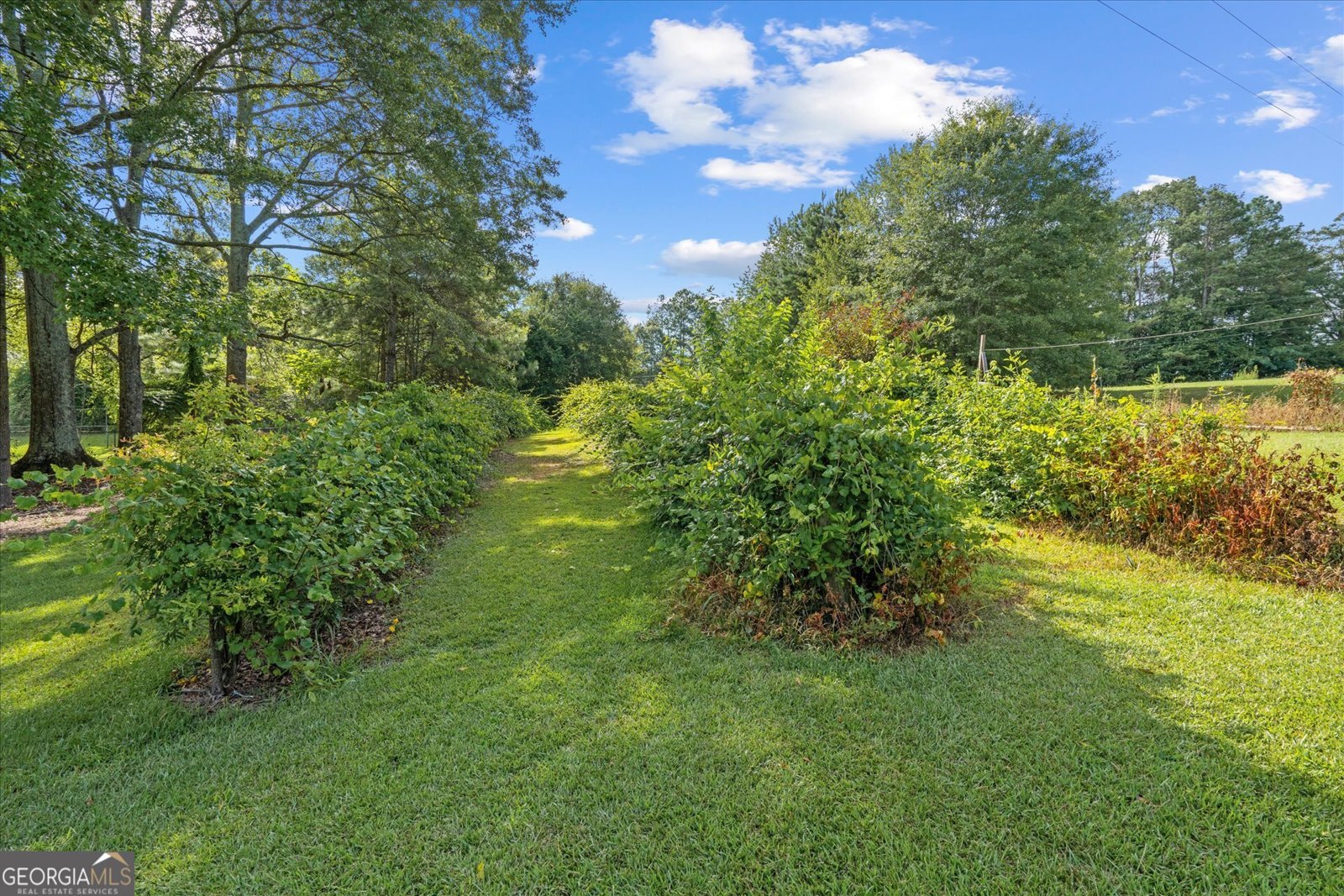 5119 Hwy 166 Carrollton - 52