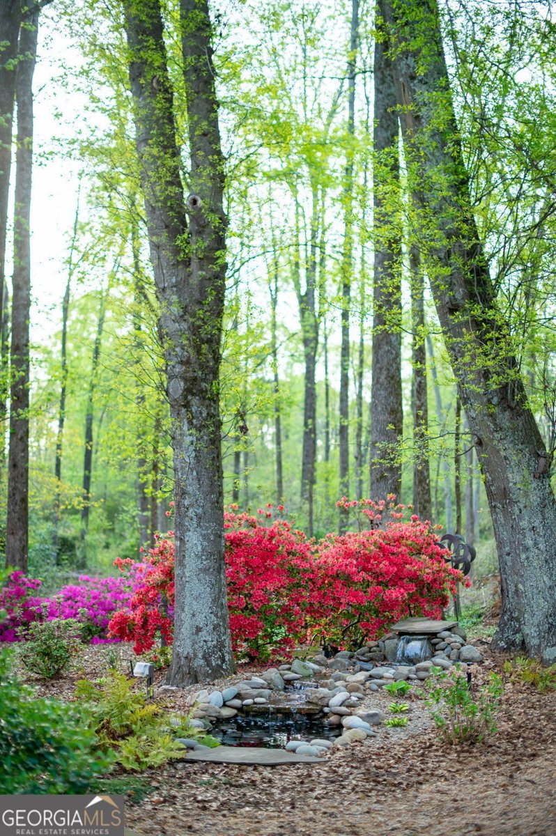 1039 Smyrna Road Conyers - 76