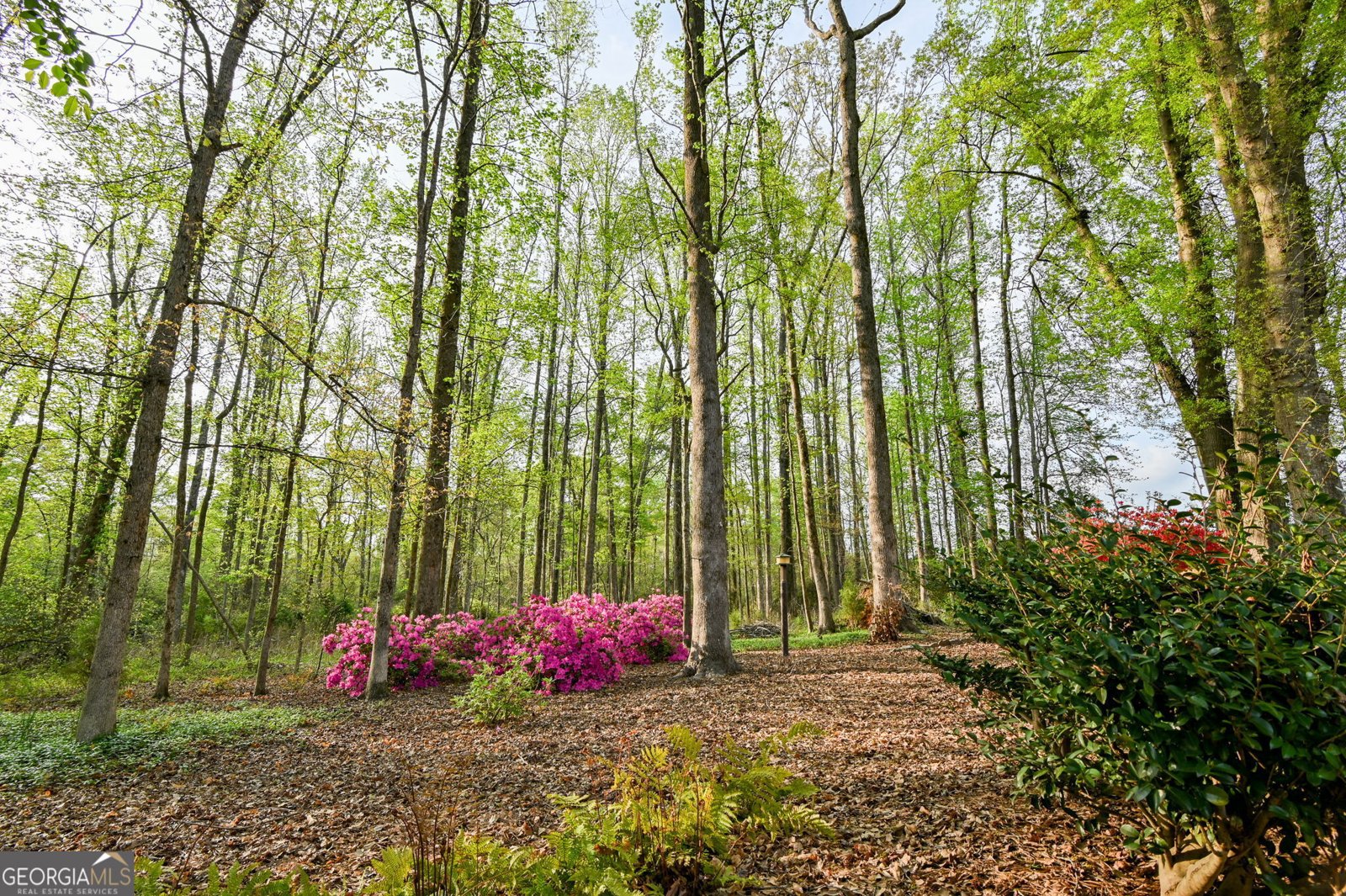 1039 Smyrna Road Conyers - 81