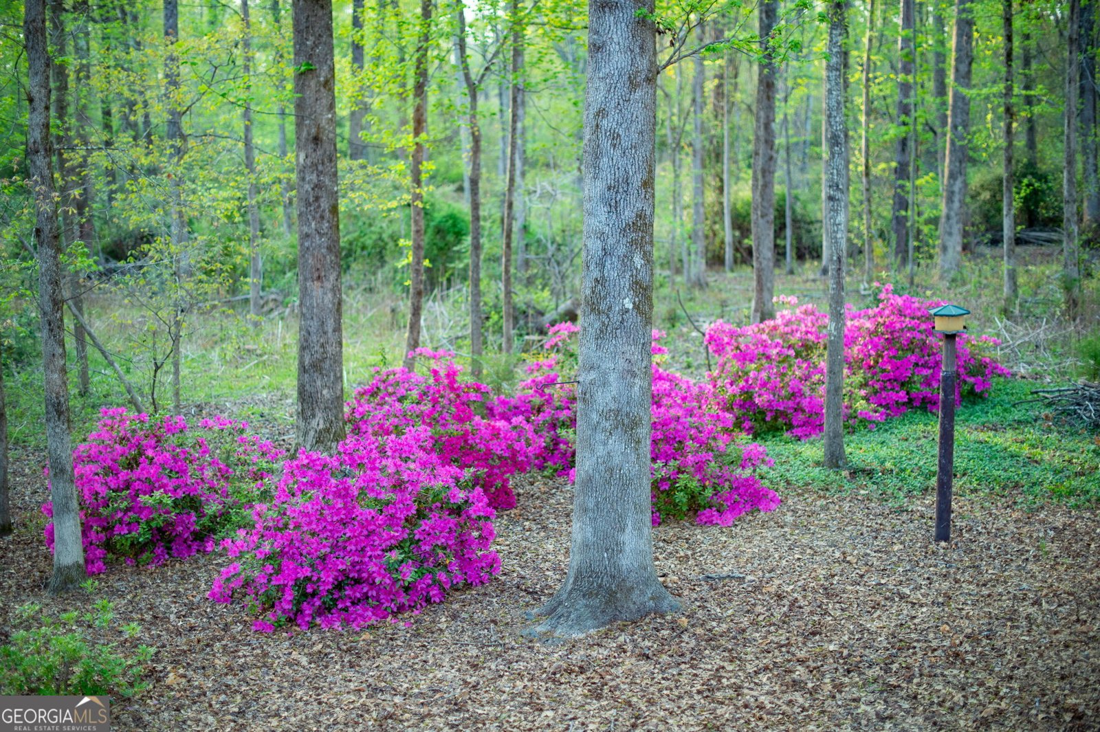 1039 Smyrna Road Conyers - 82