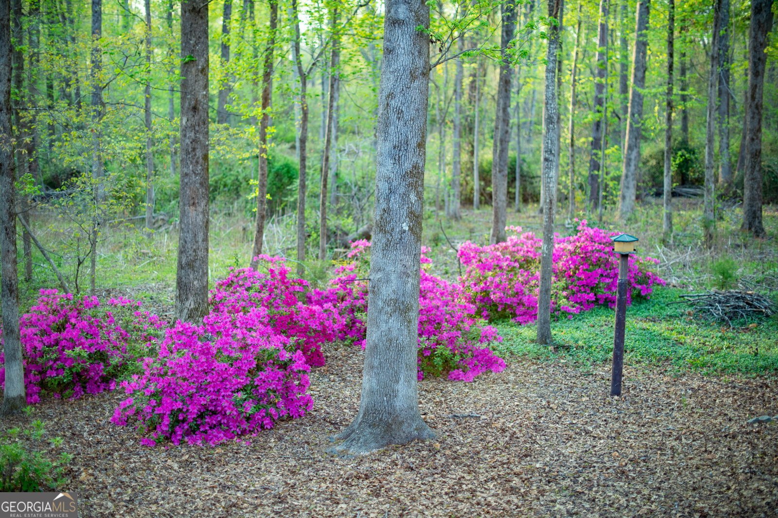 1039 Smyrna Road Conyers - 83