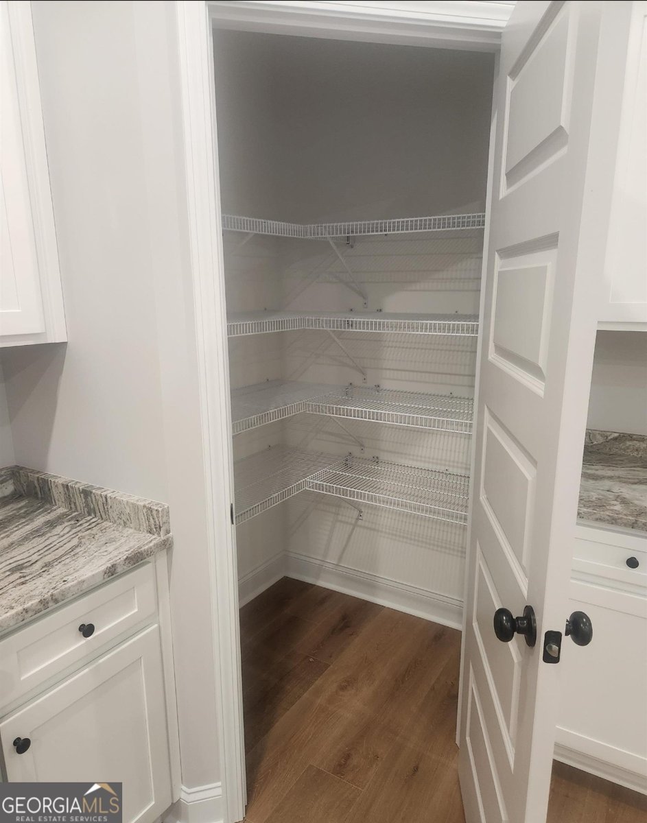 102 Silver Maple Court Byron - 10