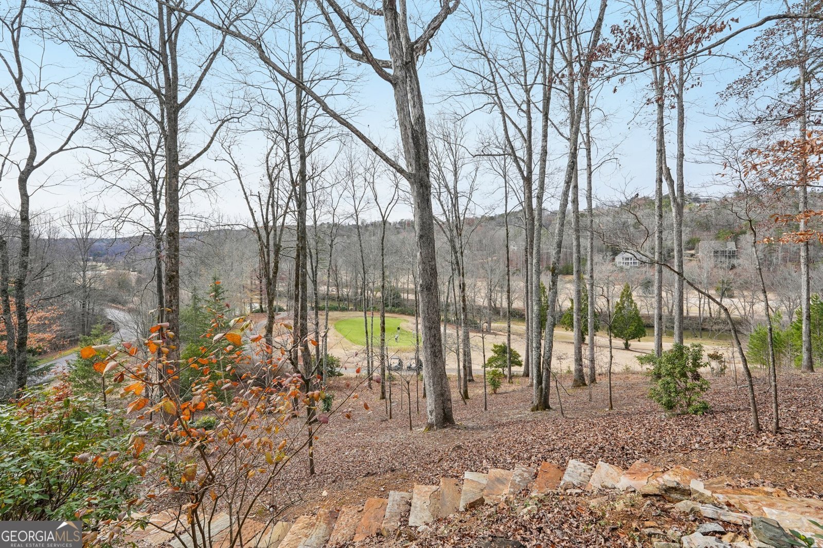 1259 Birch River Drive Dahlonega - 28