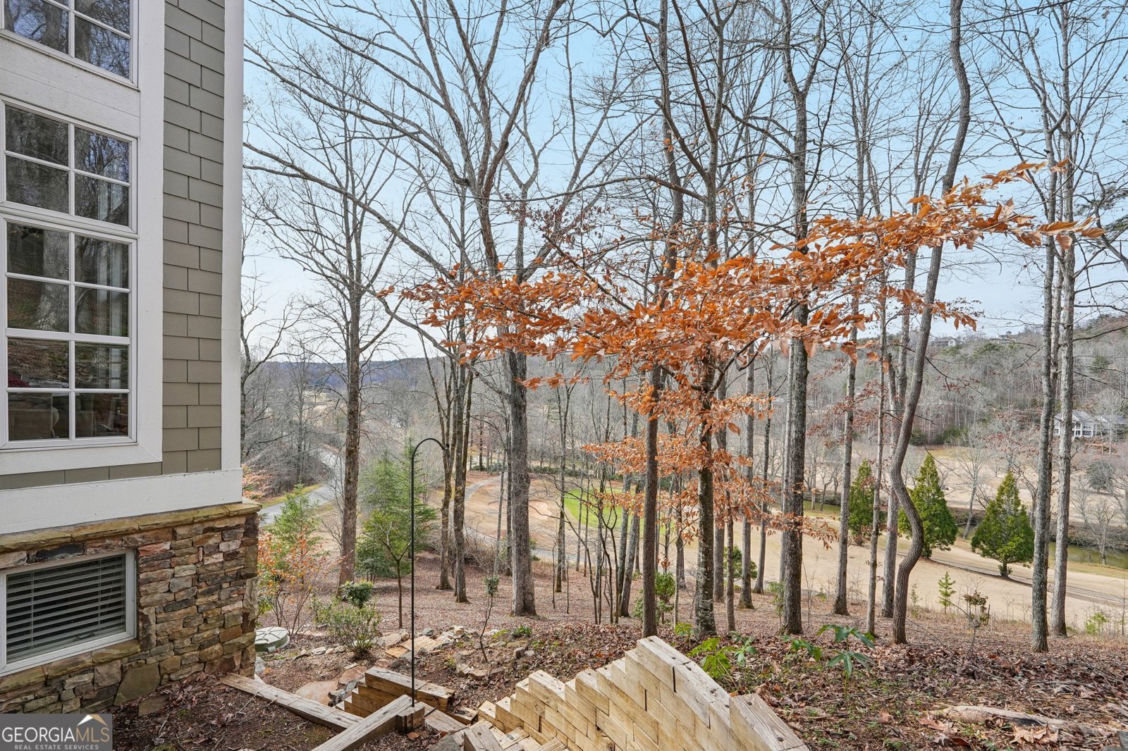 1259 Birch River Drive Dahlonega - 29