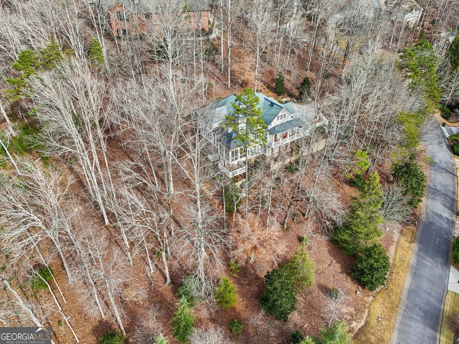 1259 Birch River Drive Dahlonega - 40