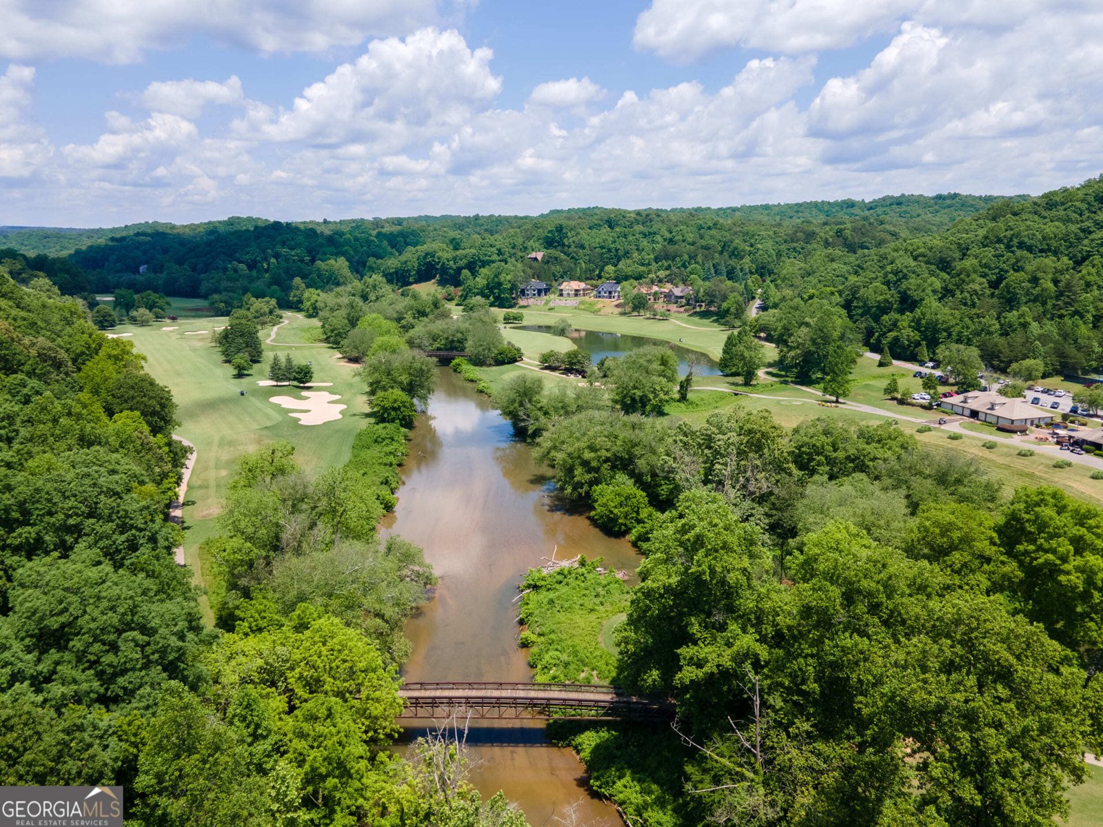 1259 Birch River Drive Dahlonega - 50
