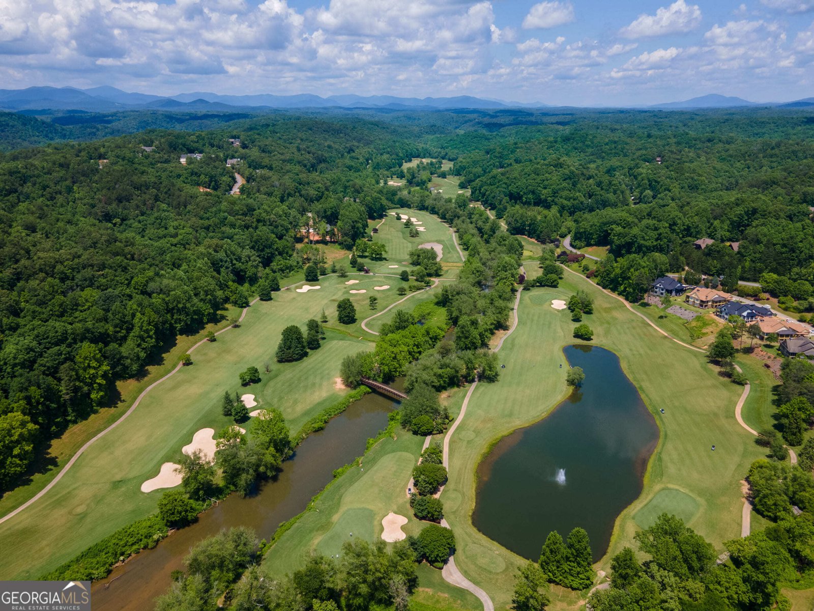 1259 Birch River Drive Dahlonega - 51