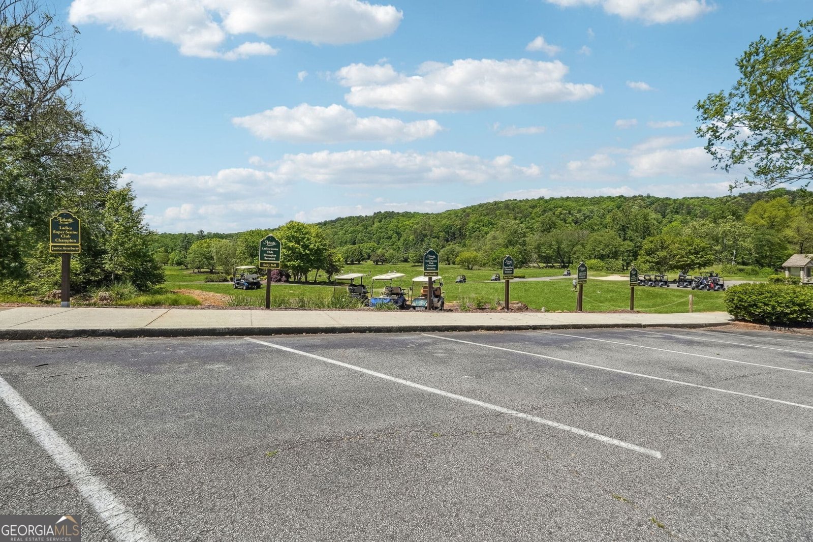 1259 Birch River Drive Dahlonega - 69