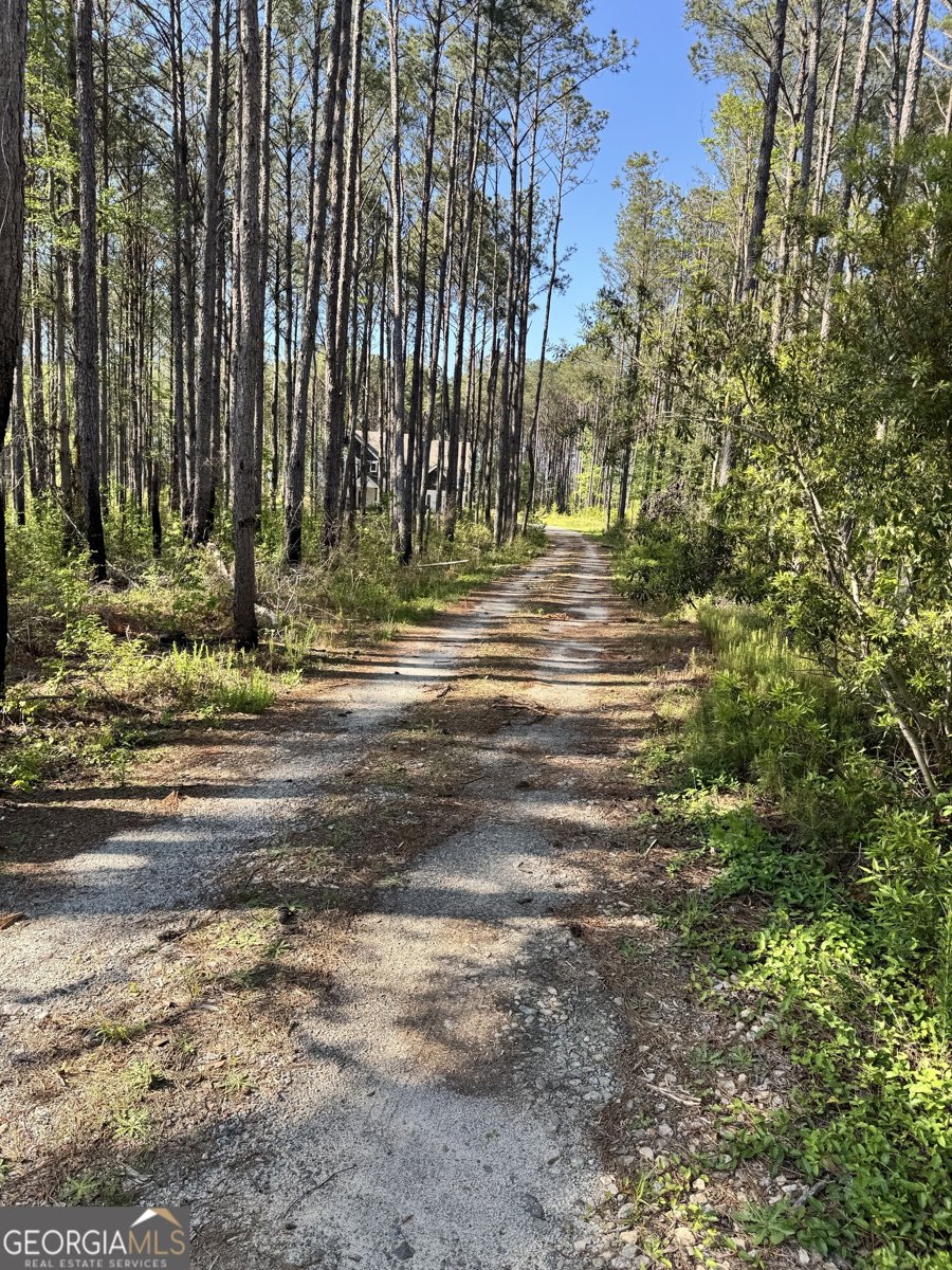 52 Hidden Lake Trail Pine Mountain - 49
