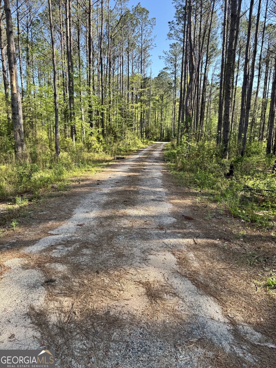 52 Hidden Lake Trail Pine Mountain - 52