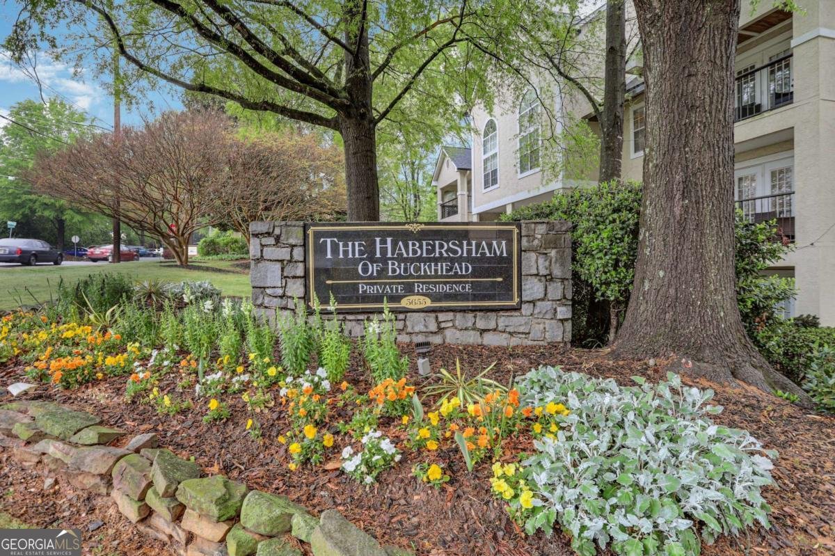 3655 Habersham Road Atlanta - 1