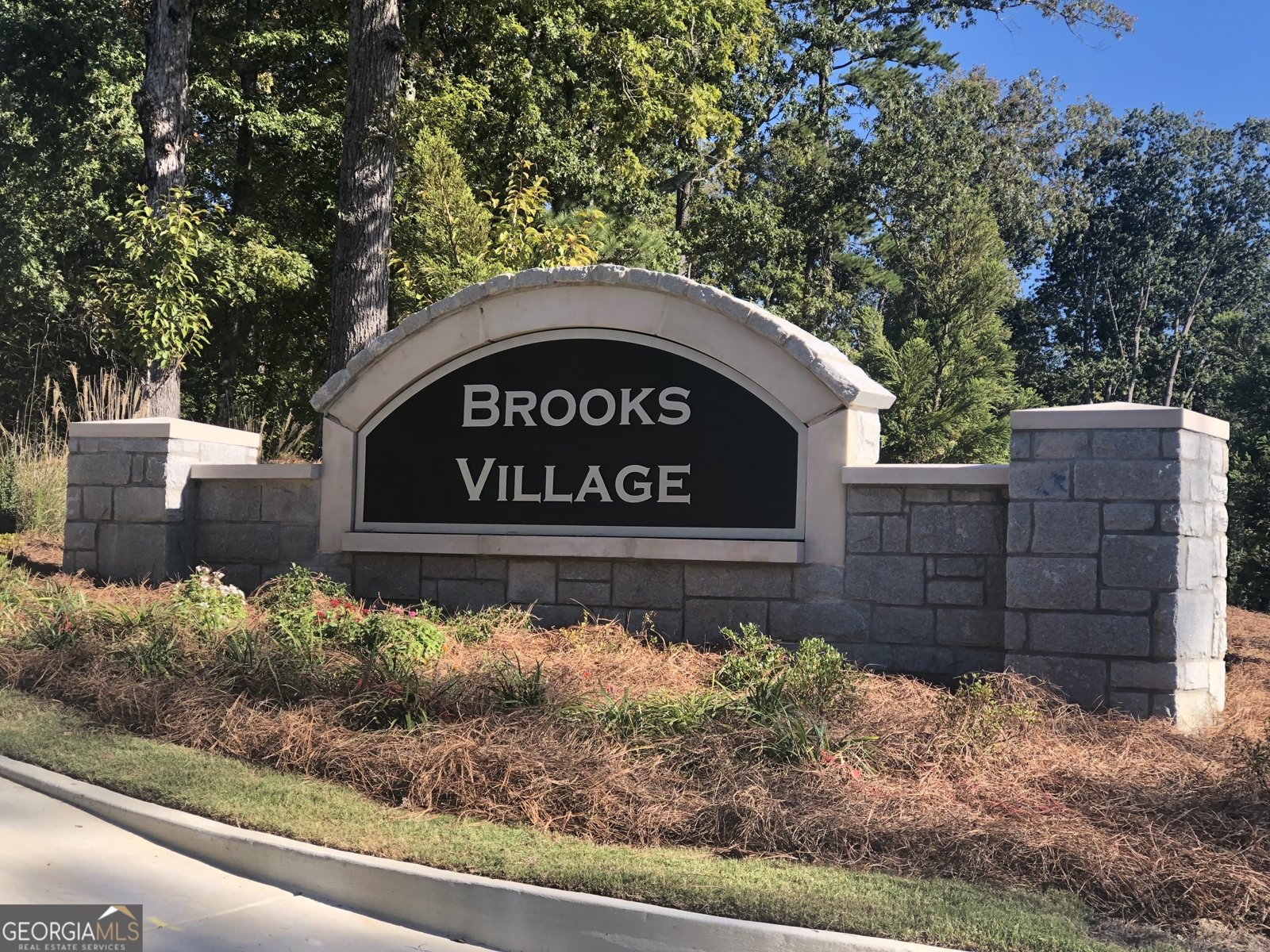 1612 Oakbrook Pond Place Dacula - 2