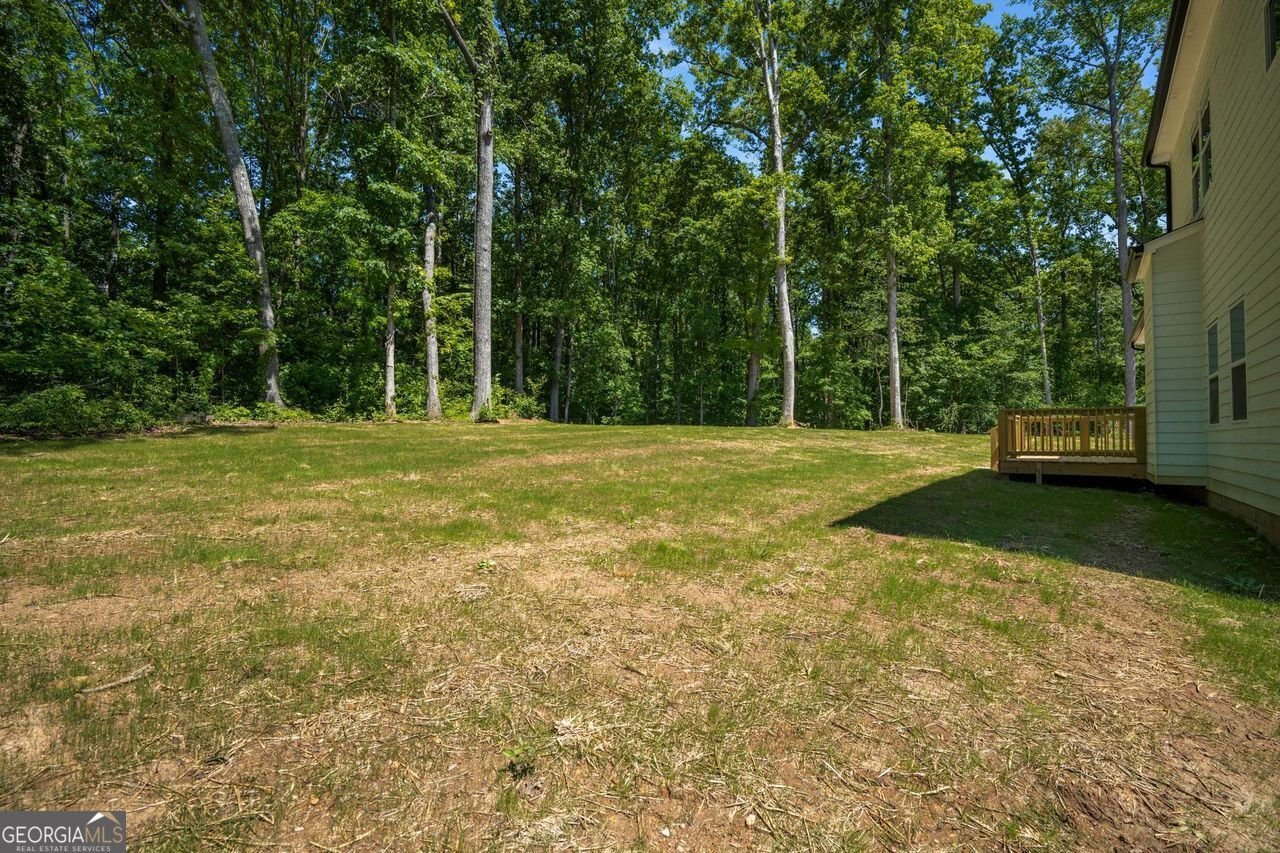 492 Mary Hill Lane Douglasville - 38