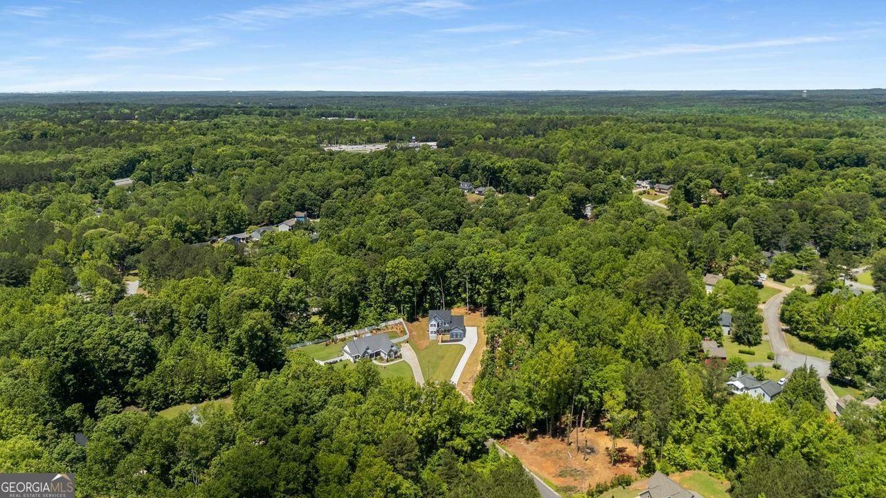 492 Mary Hill Lane Douglasville - 42