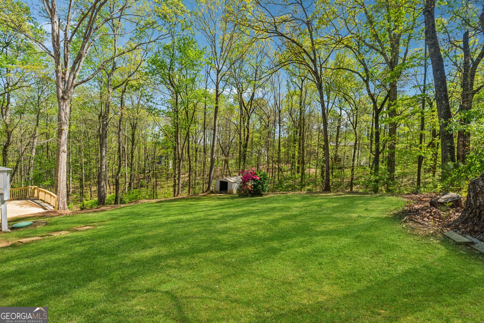 388 Pine Trail Canton - 40