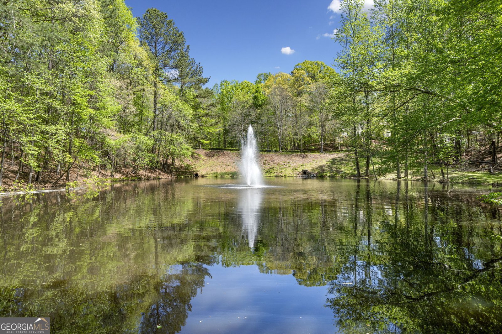 545 Slane Trace Roswell - 50