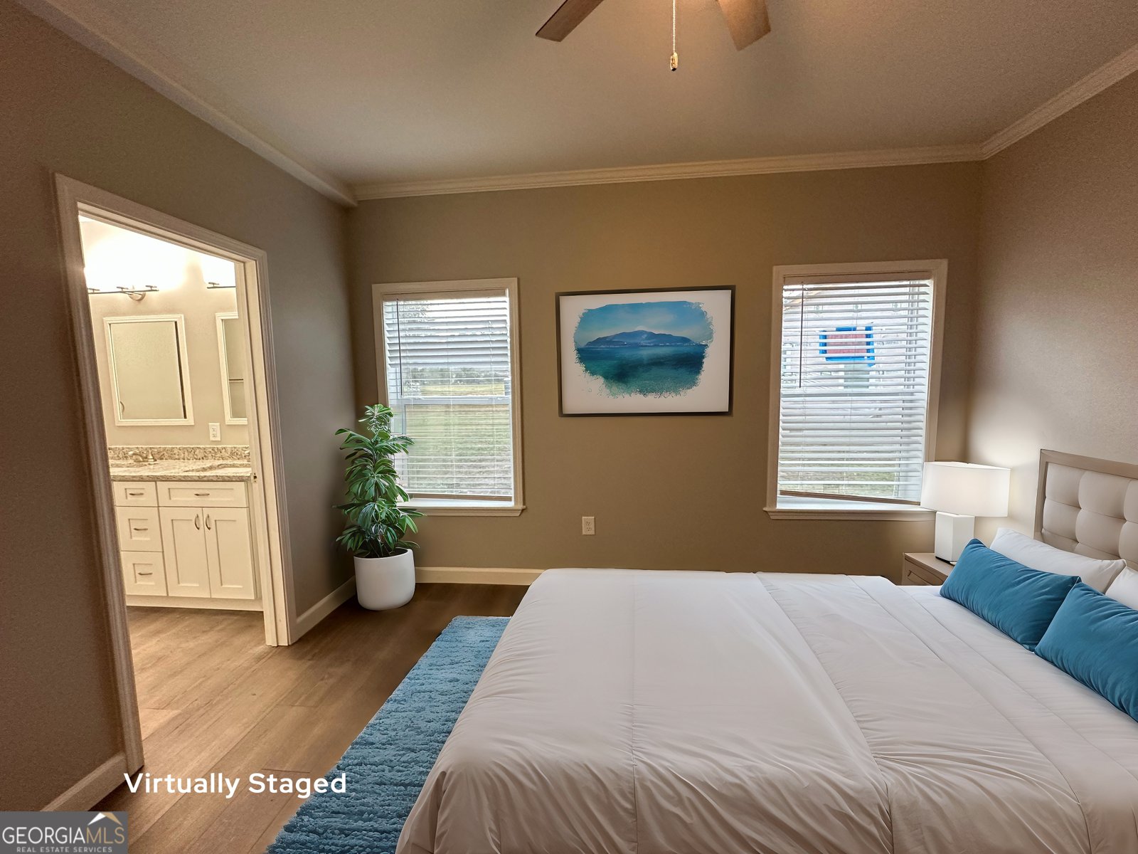 16 Pear Street Ludowici - 11