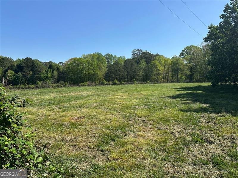 2085 JONES PHILLIPS Road Dacula - 13