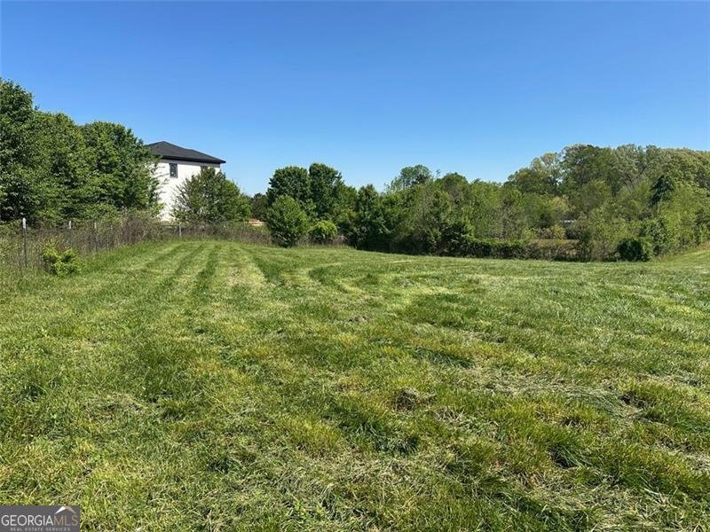 2085 JONES PHILLIPS Road Dacula - 19