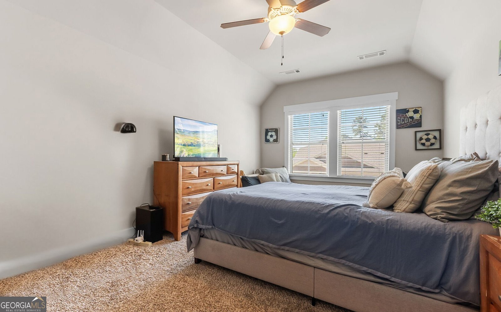 347 Woodridge Pass Canton - 17