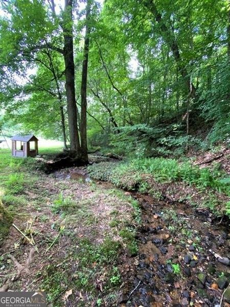 19 MCCRARY Court Ellijay - 40
