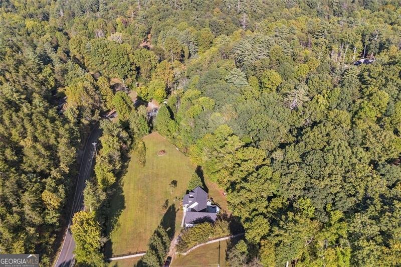 19 MCCRARY Court Ellijay - 43