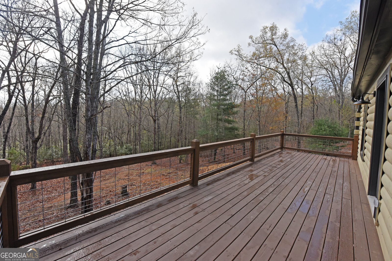 930 Robert Miller Lane Mineral Bluff - 10