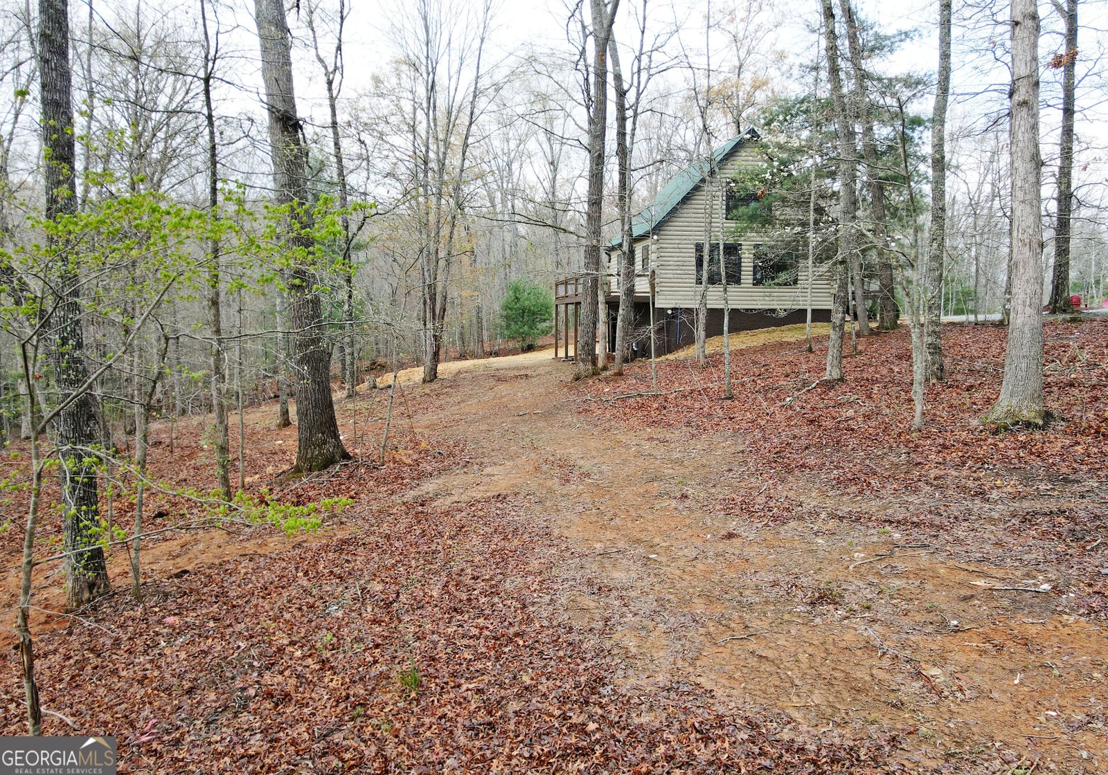 930 Robert Miller Lane Mineral Bluff - 5