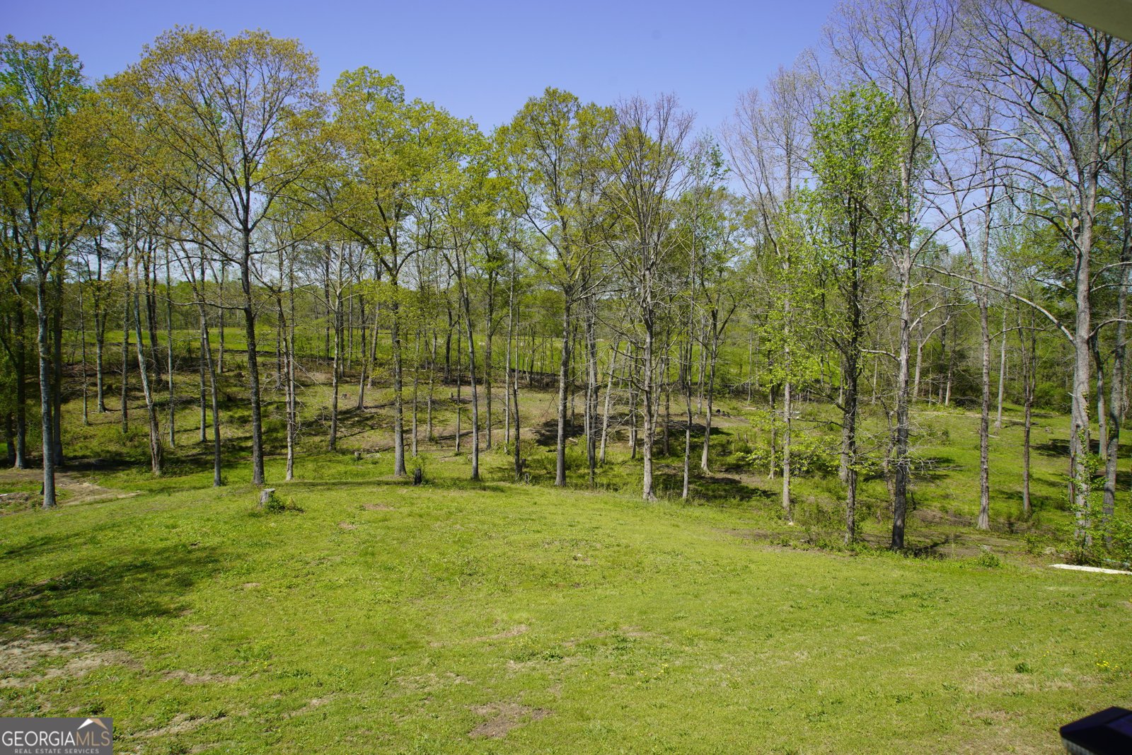 2029 Old Cartersville Road Dallas - 5