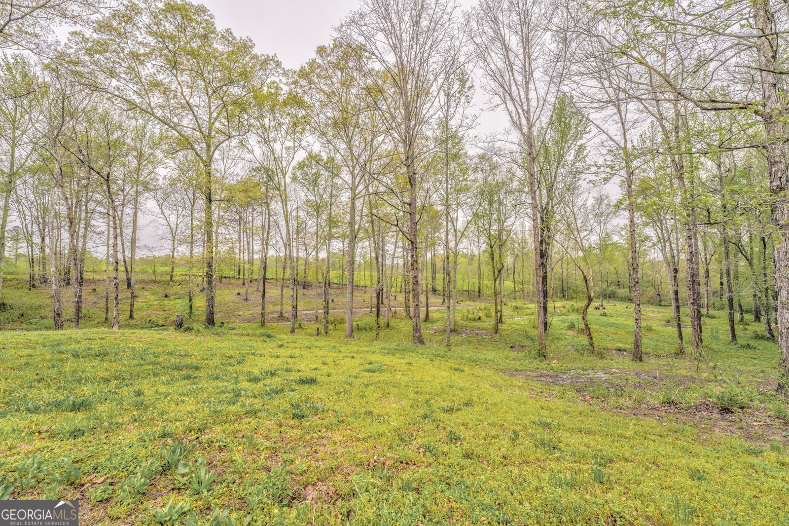 2029 Old Cartersville Road Dallas - 62