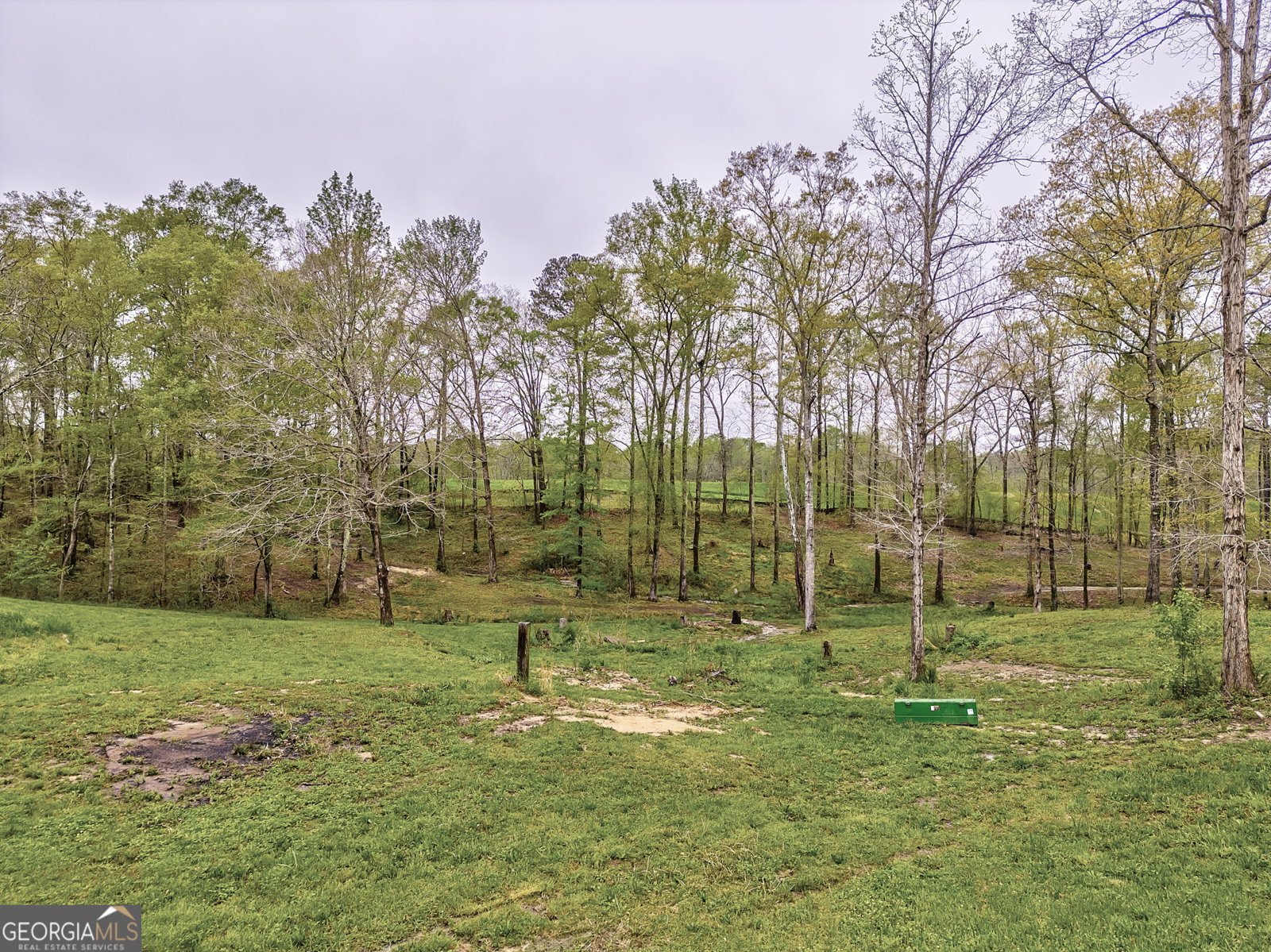 2029 Old Cartersville Road Dallas - 8