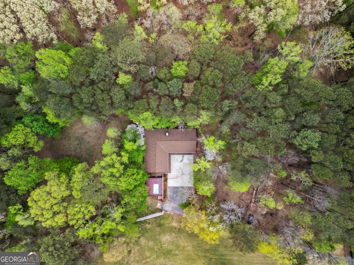 2455 Horseleg Creek Road Rome - 2