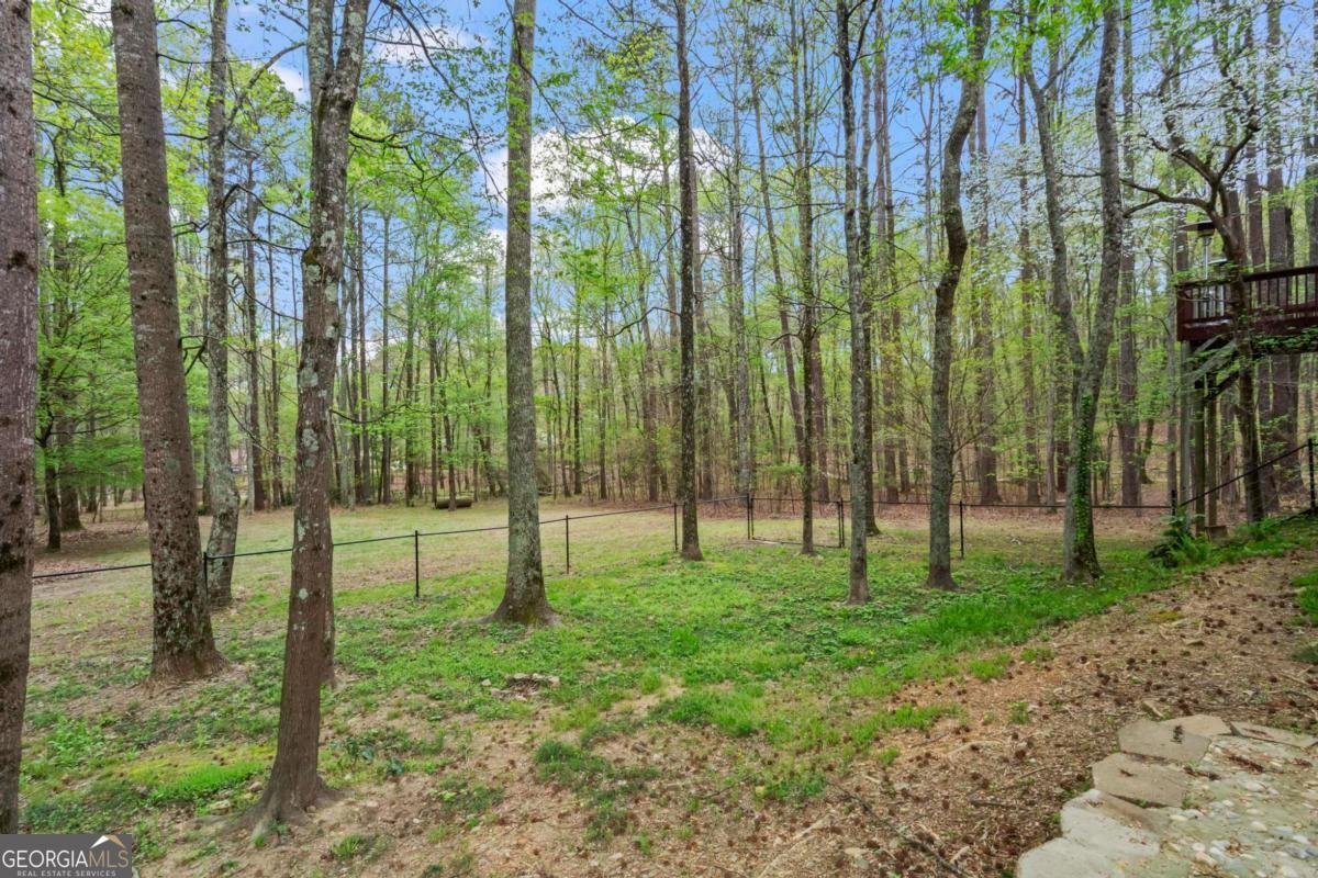 2455 Horseleg Creek Road Rome - 46