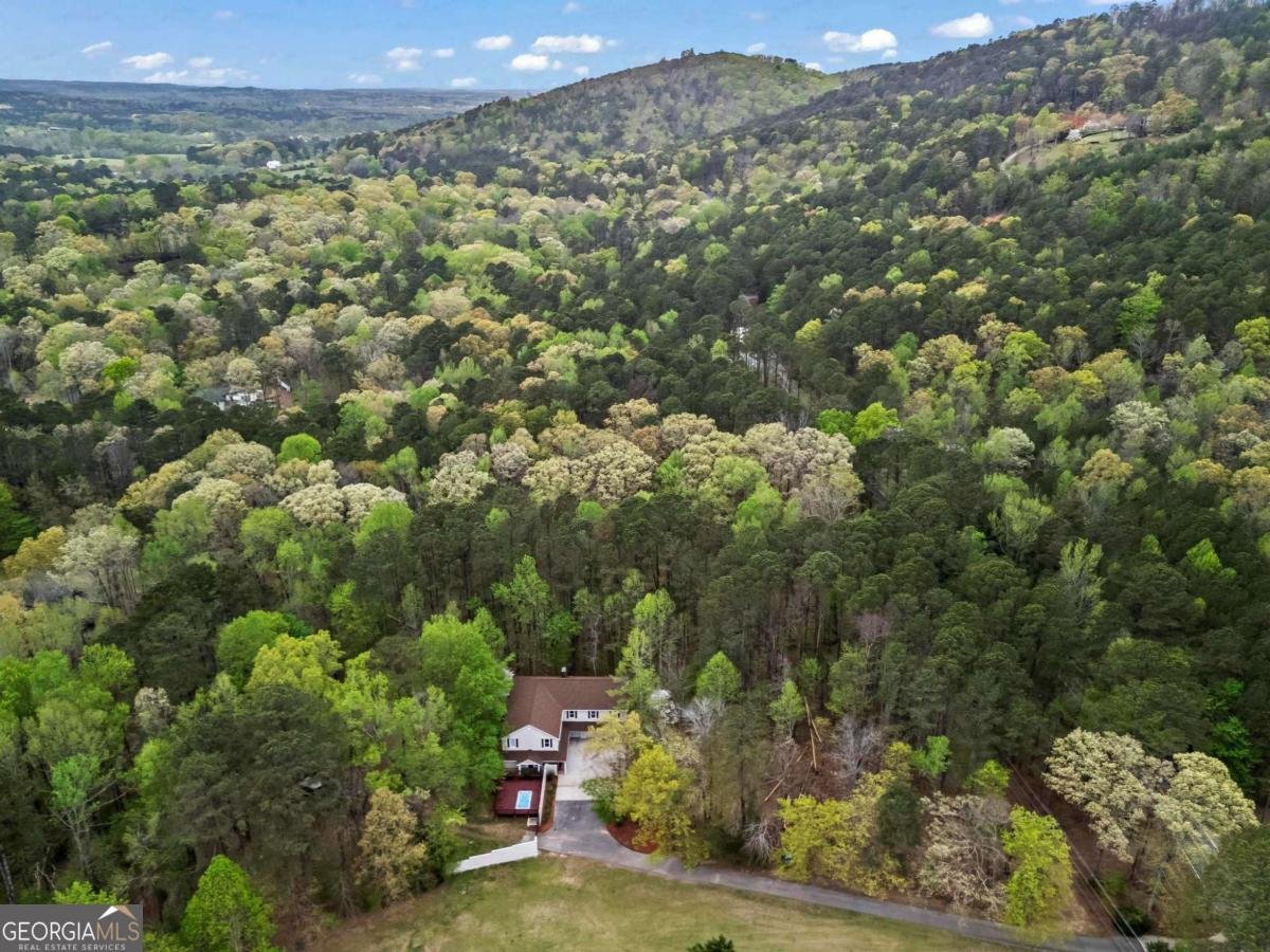 2455 Horseleg Creek Road Rome - 48