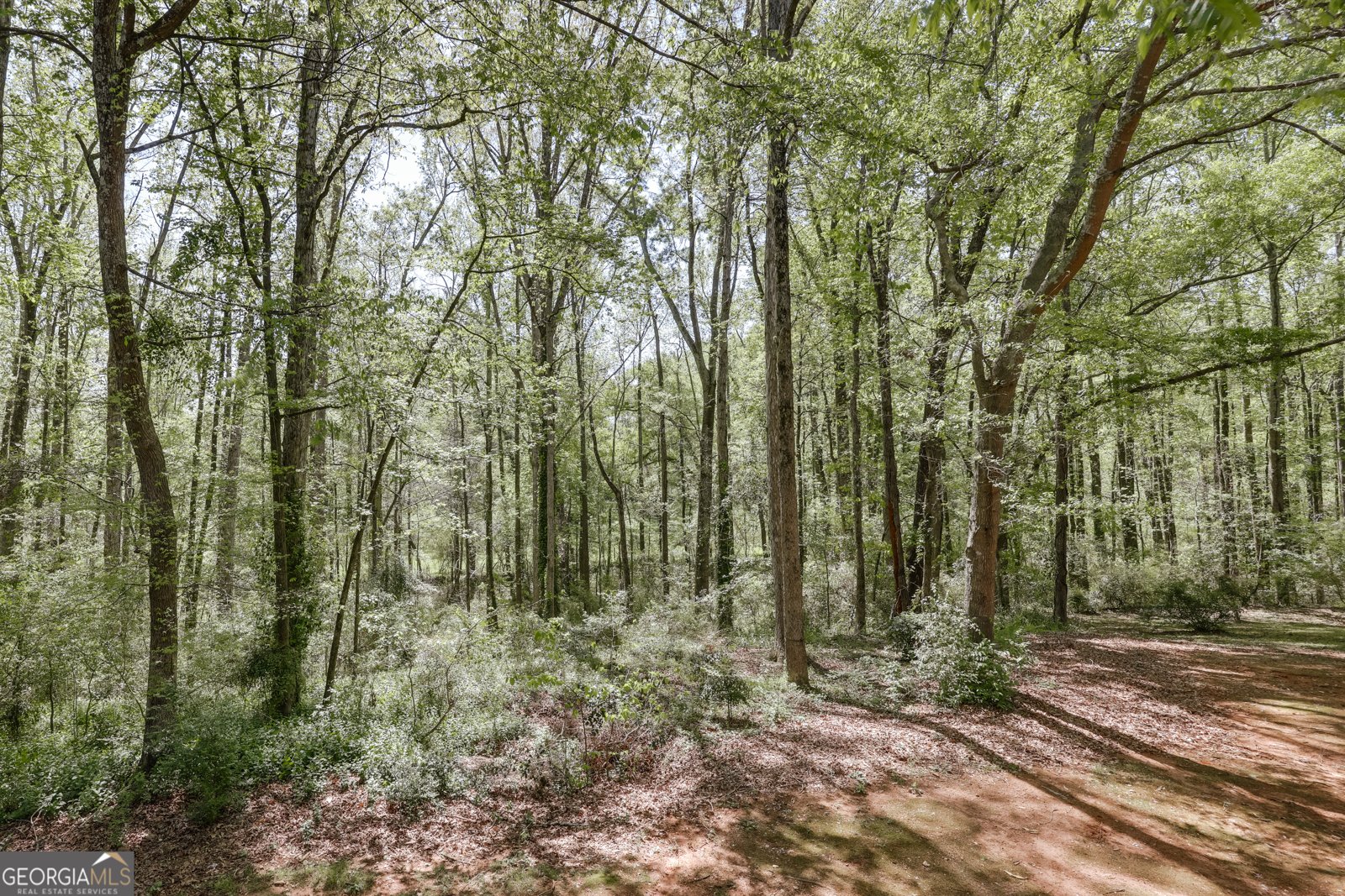 1020 Daniell Court Watkinsville - 26