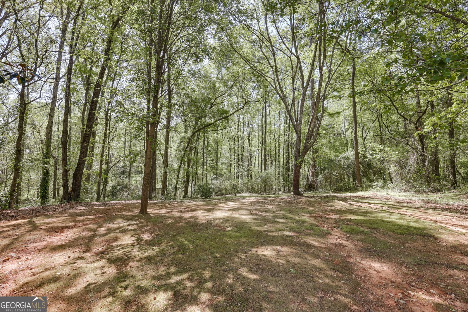 1020 Daniell Court Watkinsville - 27