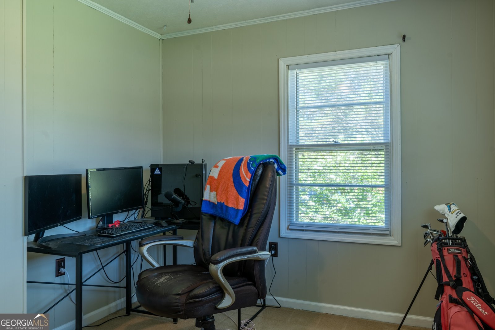 140 Goldust Avenue Clarkesville - 15
