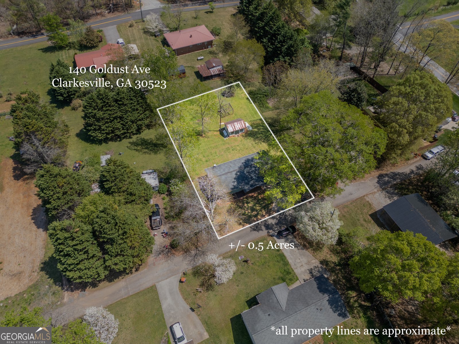 140 Goldust Avenue Clarkesville - 2
