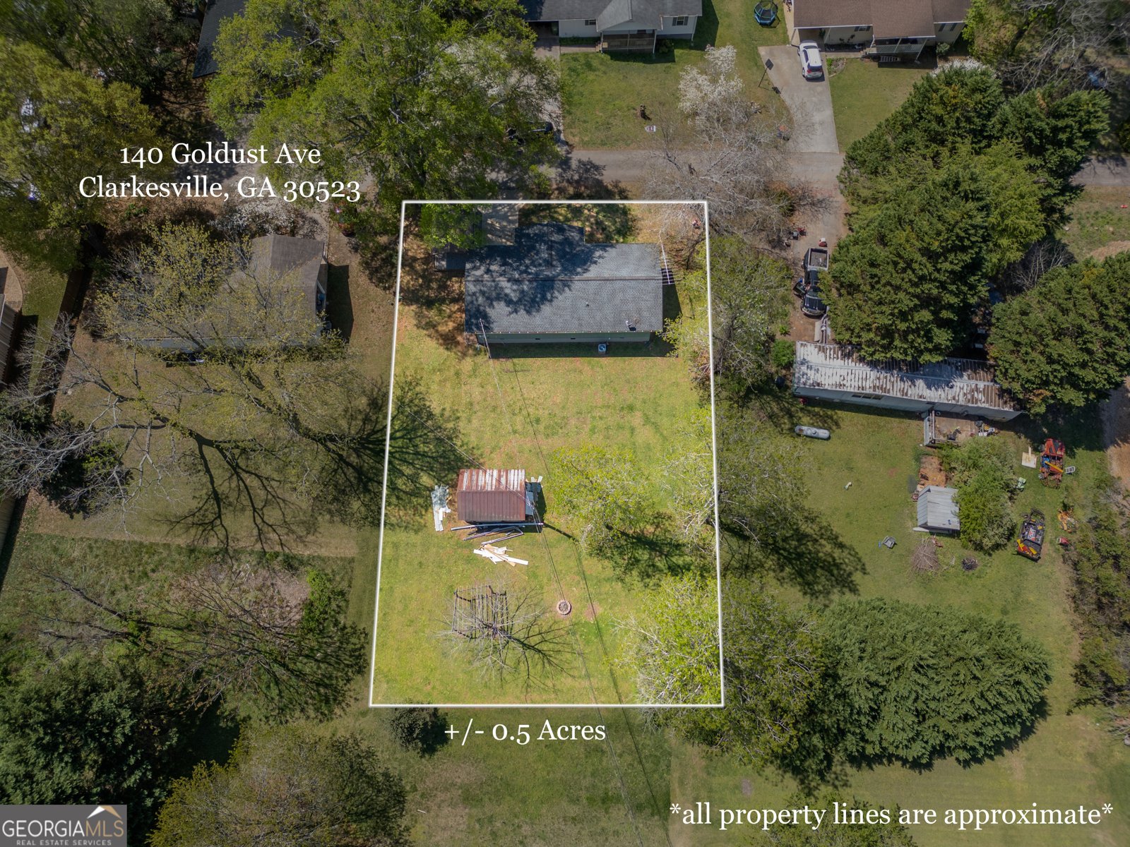 140 Goldust Avenue Clarkesville - 3