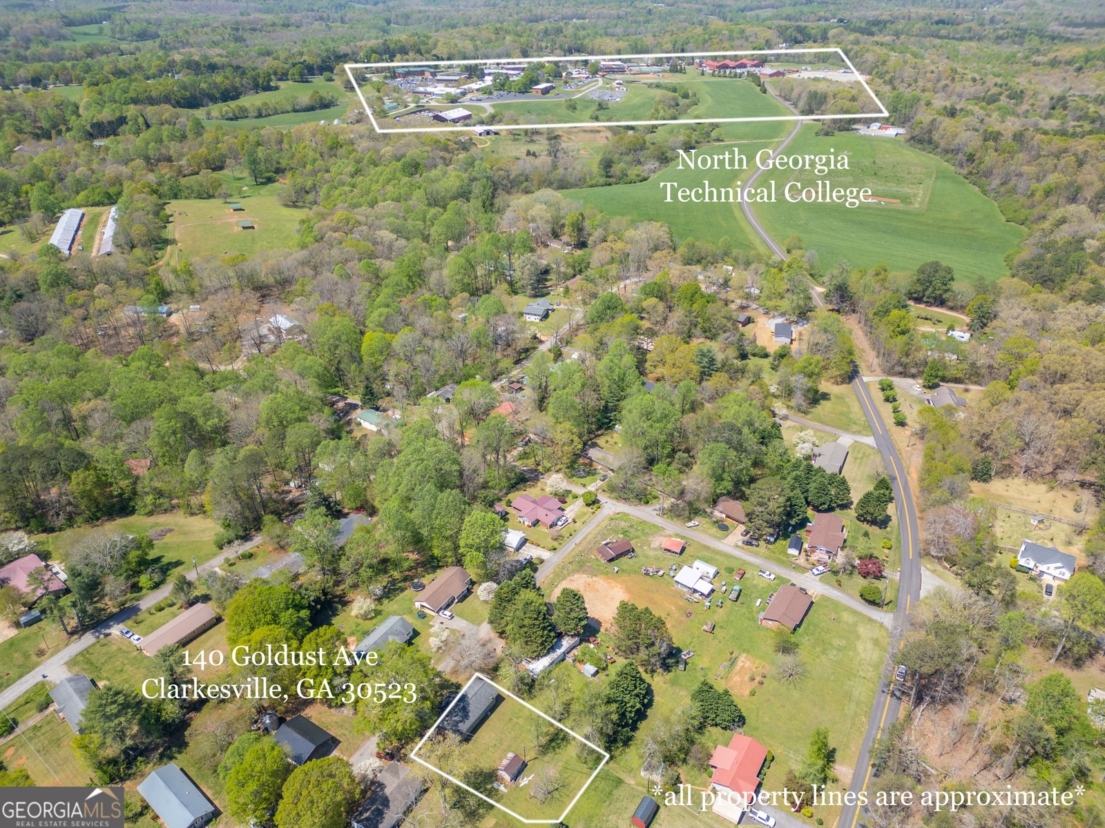 140 Goldust Avenue Clarkesville - 4