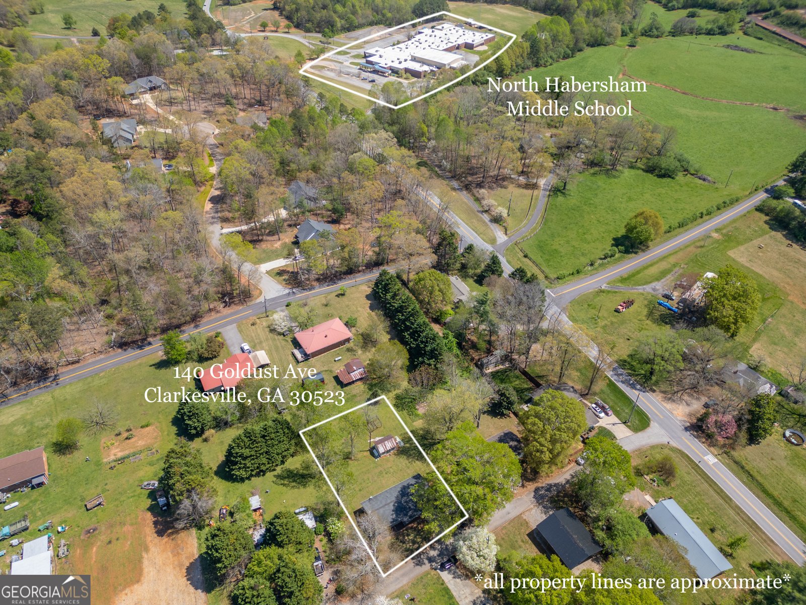 140 Goldust Avenue Clarkesville - 5